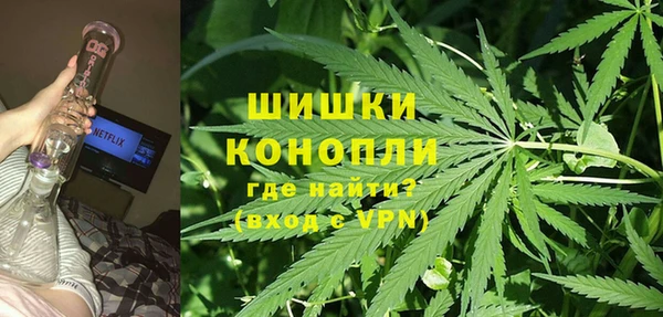 индика Алзамай