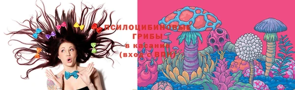 индика Алзамай