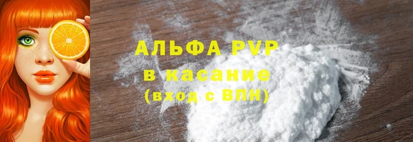 индика Алзамай