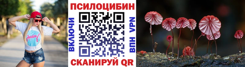 купить закладку  блэк спрут ССЫЛКА  Псилоцибиновые грибы MAGIC MUSHROOMS  Балашиха 